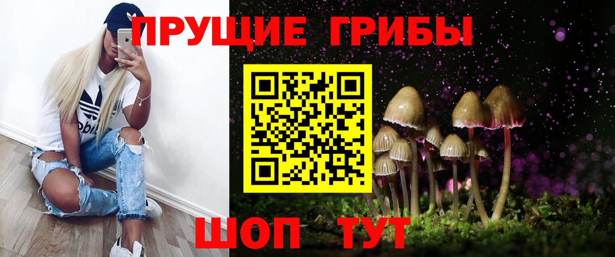 Псилоцибиновые грибы мухоморы Майкоп