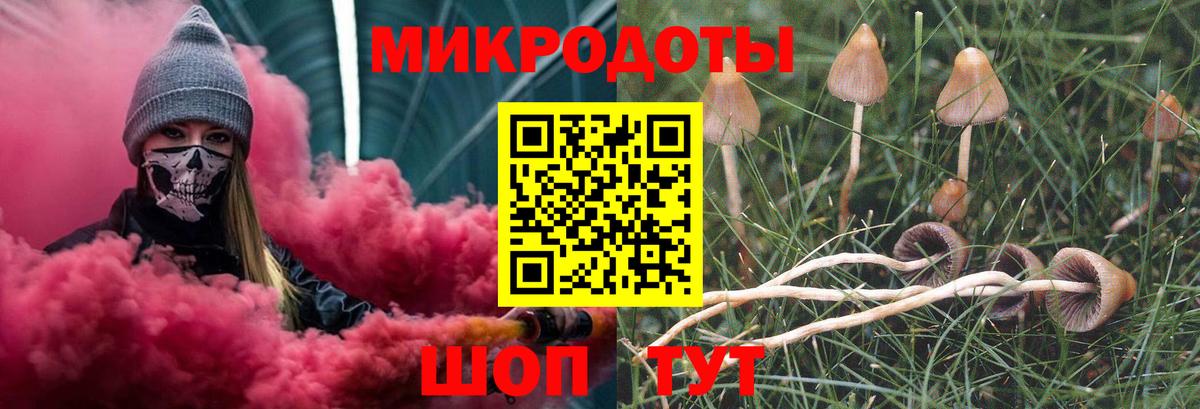 Псилоцибиновые грибы GOLDEN TEACHER  Вход с VPN  как найти   Майкоп 